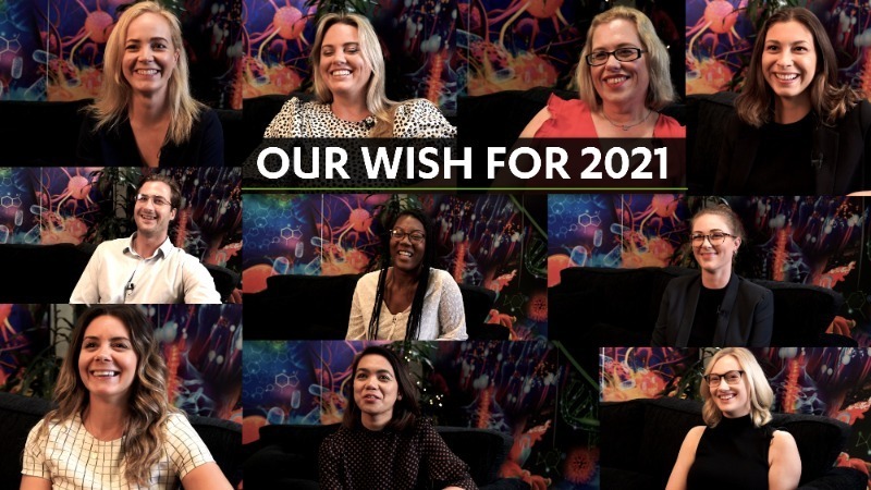 Our wish blog image
